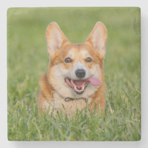Dessous-de-verre En Pierre Cute Corgi Jouer dans l'herbe