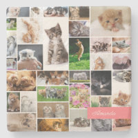 Cute Kitten Photo Montage Coral Chat Rose