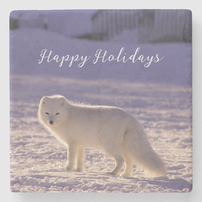 Dessous-de-verre En Pierre Cute White Arctic Fox neige hiver Photographie (Devant)