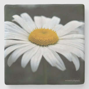 Dessous-de-verre En Pierre Daisy - Face vers le haut