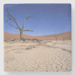 Dessous-de-verre En Pierre Dead Vlei, Sossusvlei, Parc national de Namib-Nauk