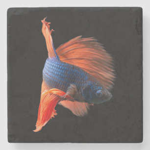 Dessous-de-verre En Pierre Demi-lune Betta Fish