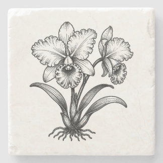 Dessous-de-verre En Pierre Dessin de tige d'orchidée Cattleya tamponnée Sous-