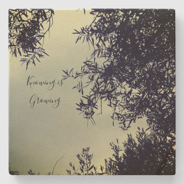 Dessous-de-verre En Pierre dessous de verre (Devant)