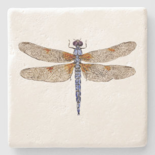 Dessous-de-verre En Pierre Dessous de verre blanchis de libellule d'écumoire