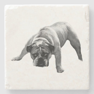 Dessous-de-verre En Pierre Dessous de verre Bulldog à surveiller