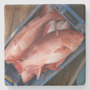 Dessous-de-verre En Pierre dessous de verre Carré Red Snapper