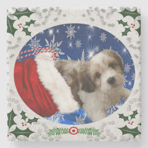 Dessous-de-verre En Pierre Dessous de verre Cavachon, chien de Noël