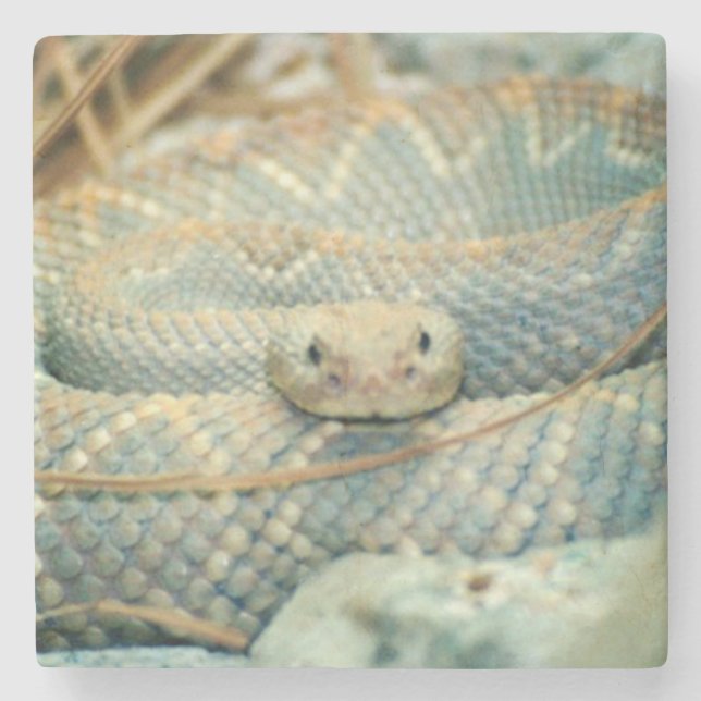 Dessous-de-verre En Pierre Dessous de verre de boisson de crotlesnake (Devant)