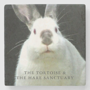 Dessous-de-verre En Pierre Dessous de verre de Cocos