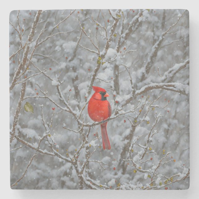 Dessous-de-verre En Pierre Dessous de verre de neige rouge cardinal (Devant)