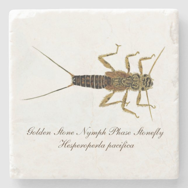 Dessous-de-verre En Pierre Dessous de verre de nymphe de Stonefly (Devant)
