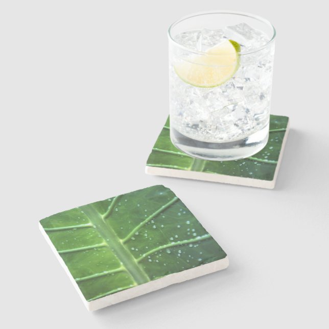 Dessous-de-verre En Pierre Dessous de verre de pierre à feuilles et gouttelet (Côté)