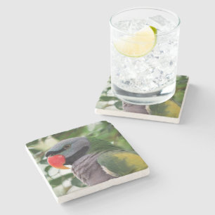 Dessous-de-verre En Pierre Dessous de verre de pierre de perruche de Derbyan