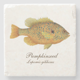 Dessous-de-verre En Pierre Dessous de verre de Sunfish de Pumpkinseed