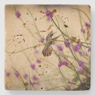Dessous-de-verre En Pierre Dessous de verre de travertin de colibri