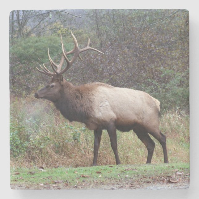 Dessous-de-verre En Pierre Dessous de verre Elk (Devant)