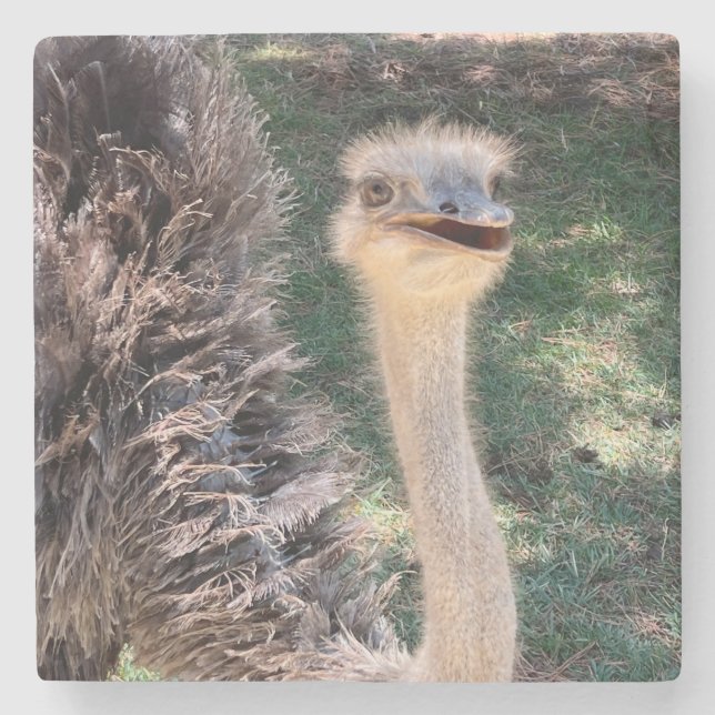 Dessous-de-verre En Pierre Dessous de verre Emu (Devant)