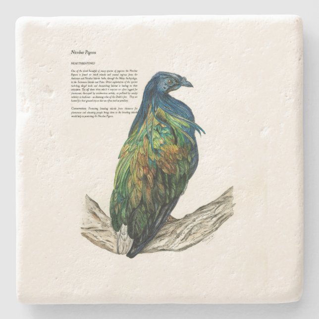 Dessous-de-verre En Pierre Dessous de verre en pierre (Devant)