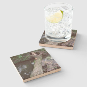 Dessous-de-verre En Pierre Dessous de verre en pierre avec images carrées
