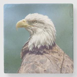 Dessous-de-verre En Pierre Dessous de verre en pierre chauves d'Eagle