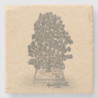 DESSOUS-DE-VERRE EN PIERRE DESSOUS DE VERRE EN PIERRE DE BAIE ARBRE