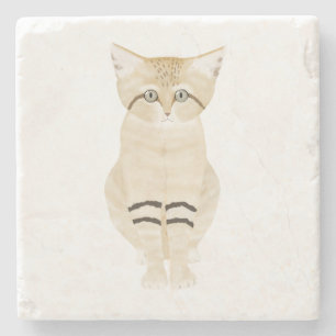 Dessous-de-verre En Pierre Dessous de verre en pierre de chat de sable