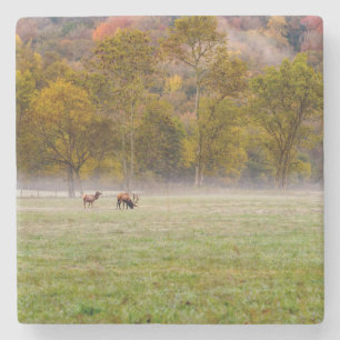 Dessous-de-verre En Pierre Dessous de verre en pierre de Couple d'Elc