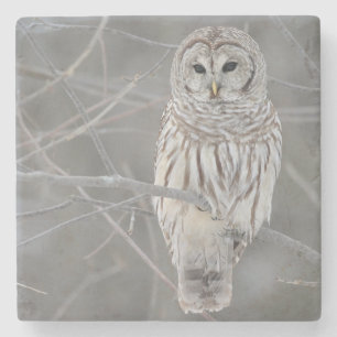 Dessous-de-verre En Pierre Dessous de verre en pierre de hibou