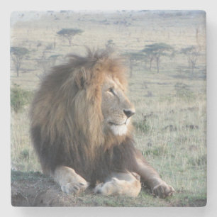 Dessous-de-verre En Pierre Dessous de verre en pierre de lion