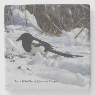 Dessous-de-verre En Pierre Dessous de verre en pierre de Magpie Black Billed