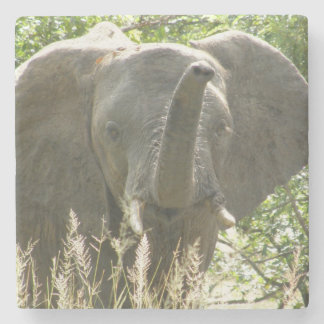 Dessous-de-verre En Pierre Dessous de verre en pierre d'éléphant (couleur ple