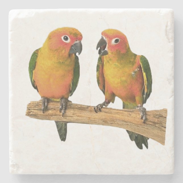 Dessous-de-verre En Pierre Dessous de verre mignons de Conure (Devant)