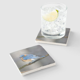 Dessous-de-verre En Pierre Dessous de verre orientaux de pierre d'oiseau bleu