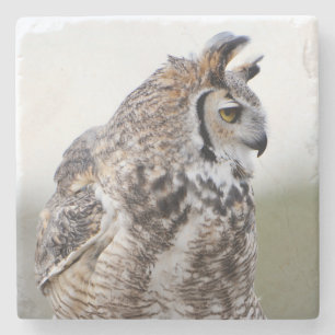Dessous-de-verre En Pierre Dessous de verre photo Great Horned Owl