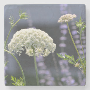 Dessous-de-verre En Pierre Dessous de verre Queen Anne