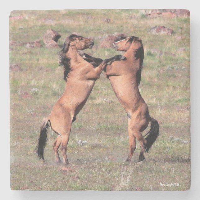 Dessous-de-verre En Pierre Dessous de verre sauvages de Kiger (Devant)