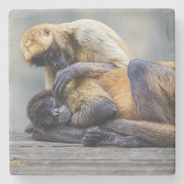 Dessous-de-verre En Pierre Dessous de verre singe (Devant)