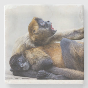 Dessous-de-verre En Pierre Dessous de verre singe