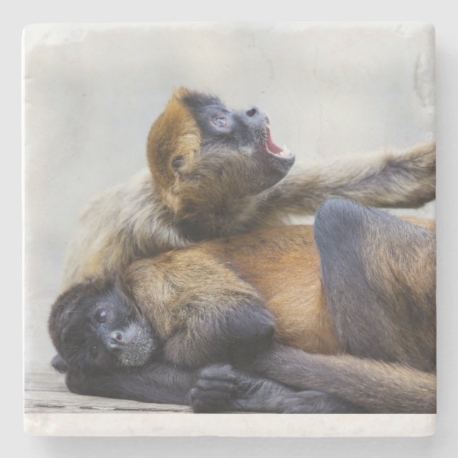 Dessous-de-verre En Pierre Dessous de verre singe (Devant)