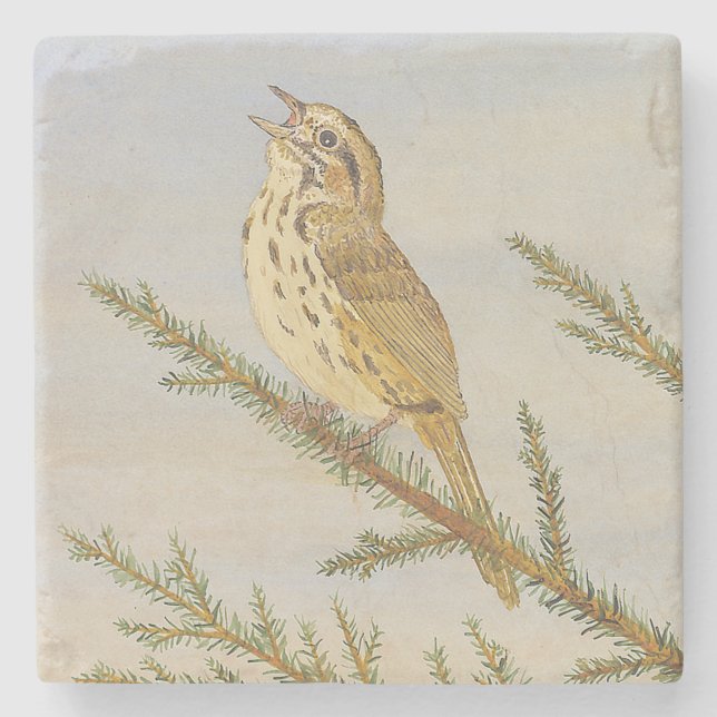 Dessous-de-verre En Pierre Dessous de verre Song Sparrow (Devant)