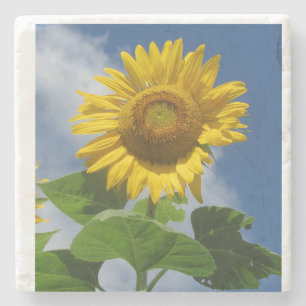 Dessous-de-verre En Pierre Dessous de verre tournesol
