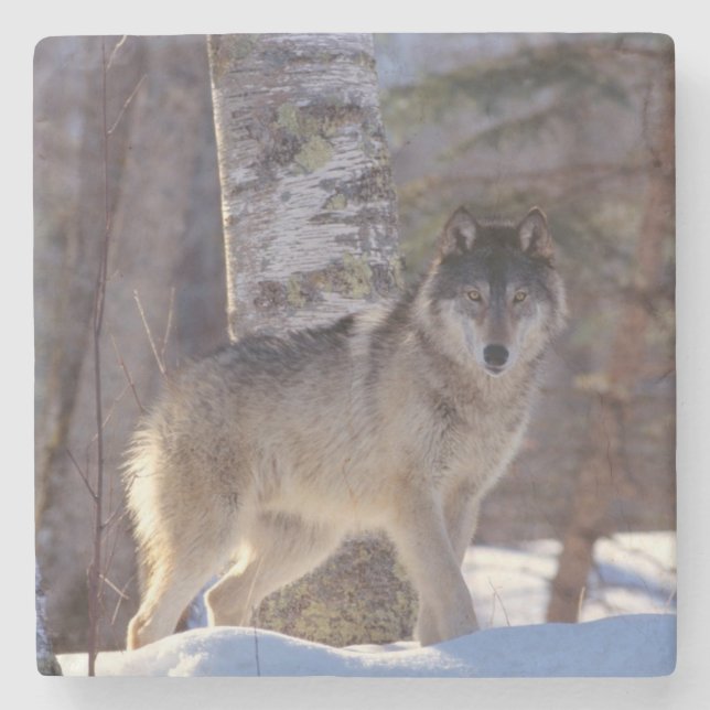 Dessous-de-verre En Pierre Dessous de verre Wolf Stone (Devant)