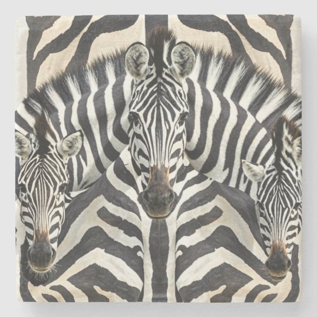 Dessous-de-verre En Pierre Dessous de verre Zebra (Devant)