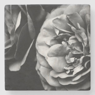 Dessous-de-verre En Pierre deux roses