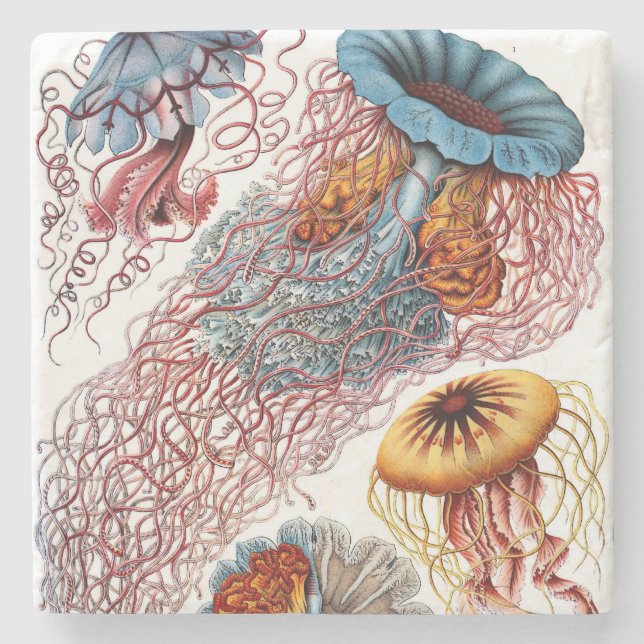 Dessous-de-verre En Pierre Discomedusae d'Ernst Haeckel (Devant)