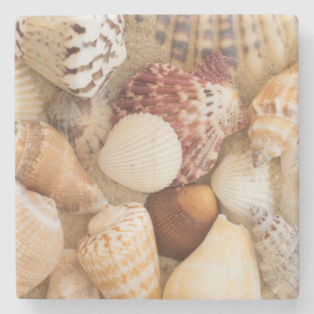 Dessous-de-verre En Pierre Disposition de coquillage (Devant)