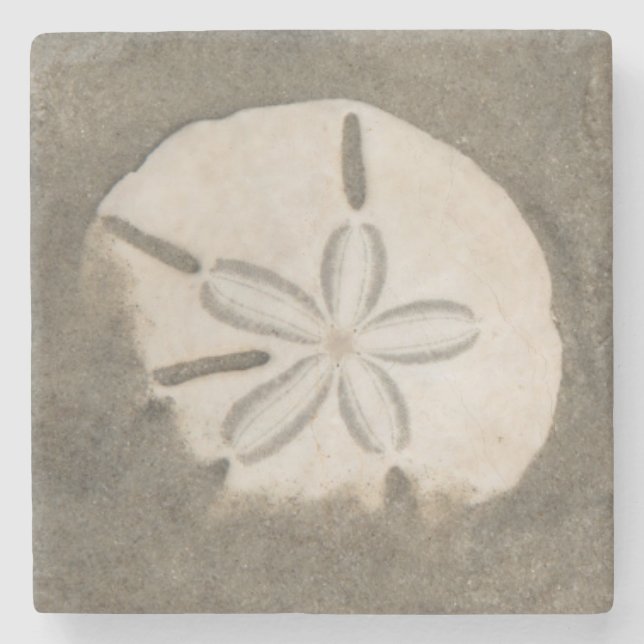 Dessous-de-verre En Pierre Dollar de sable (Echinarachnius parma) (Devant)