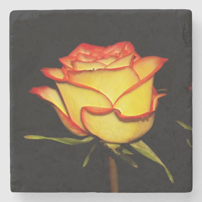 Dessous-de-verre En Pierre Double Red and Yellow Rose Bloom (Devant)