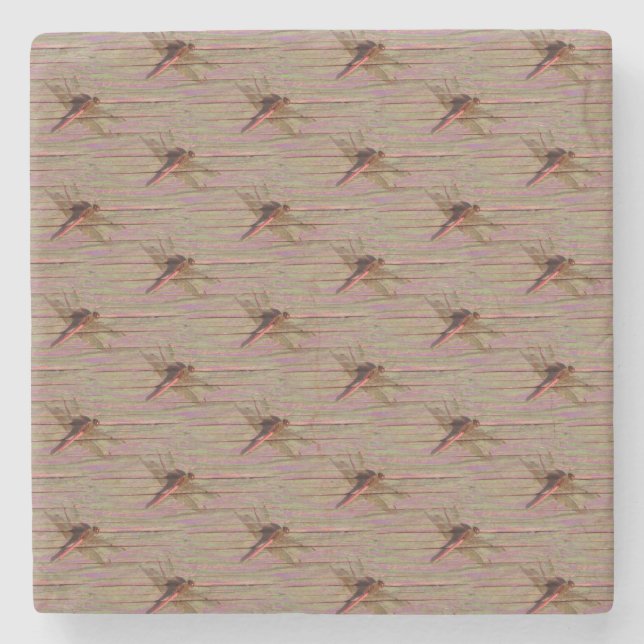 Dessous-de-verre En Pierre Dragonfly (Devant)